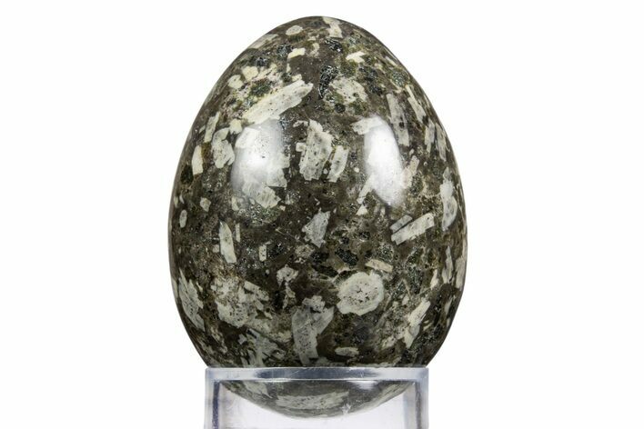 Polished Chinese Writing Rock Egg - Utah #334122